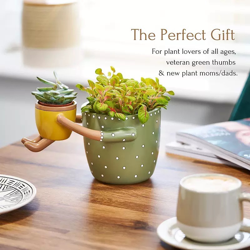 Resin Parent-child Flowerpot w - Plant Parent Pot recensie en prijs