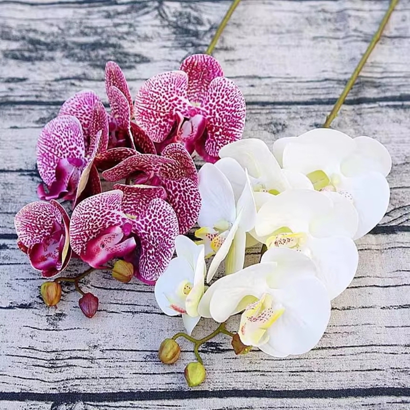 3D Artificial Flowers Plastic  - Orchid Phalaenopsis recensie en prijs