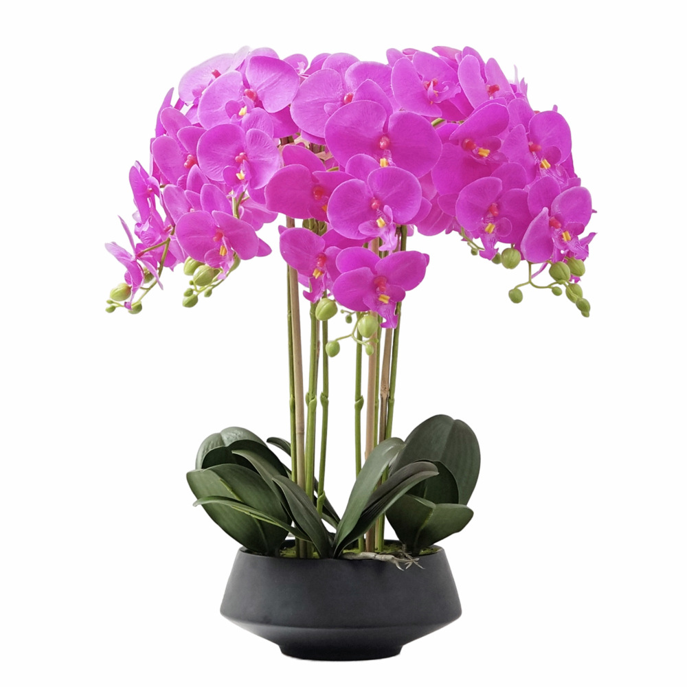 Artificial Potted Phalaenopsis - Orchid Phalaenopsis recensie en prijs