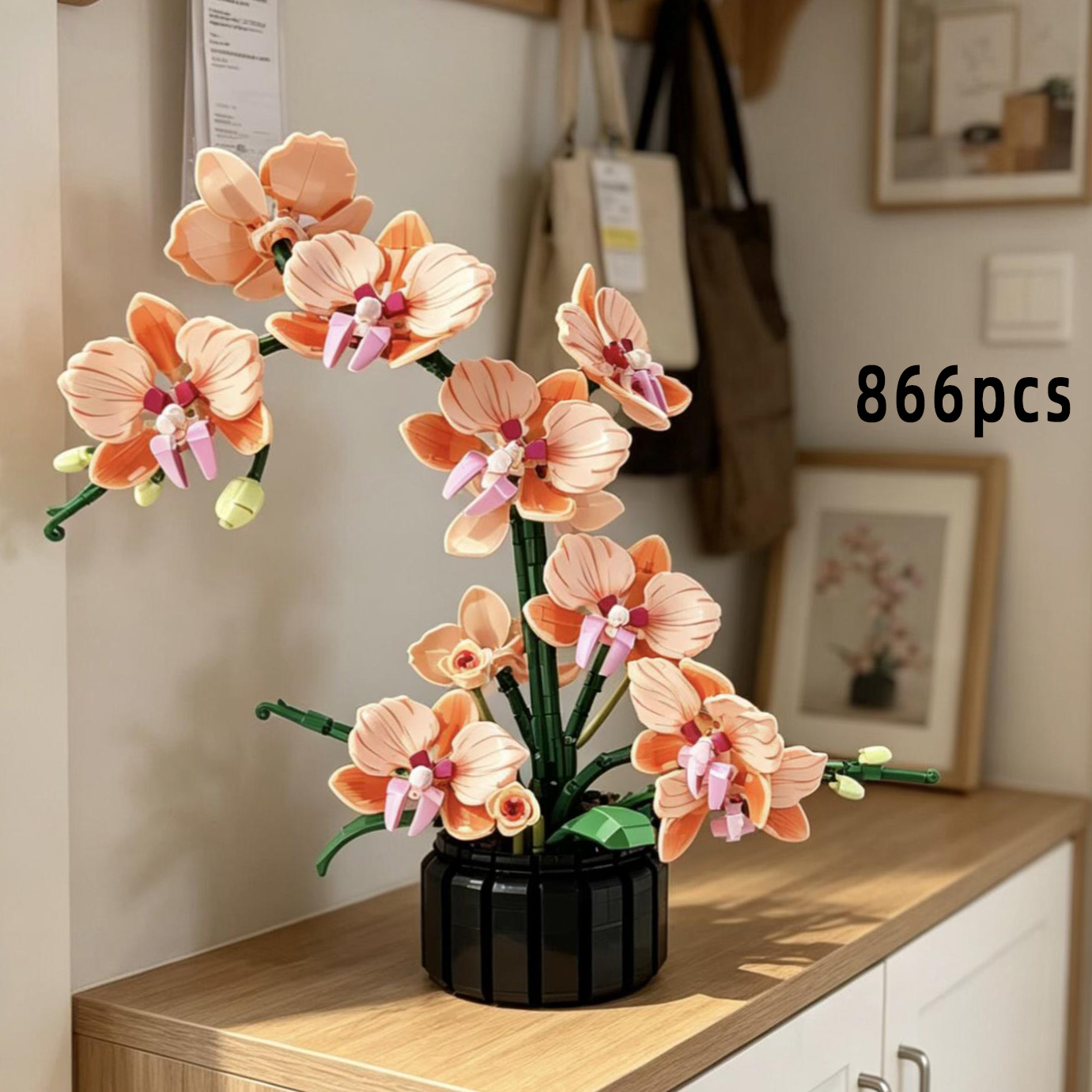 Orange Phalaenopsis Orchid Bui - Orchid Phalaenopsis recensie en prijs