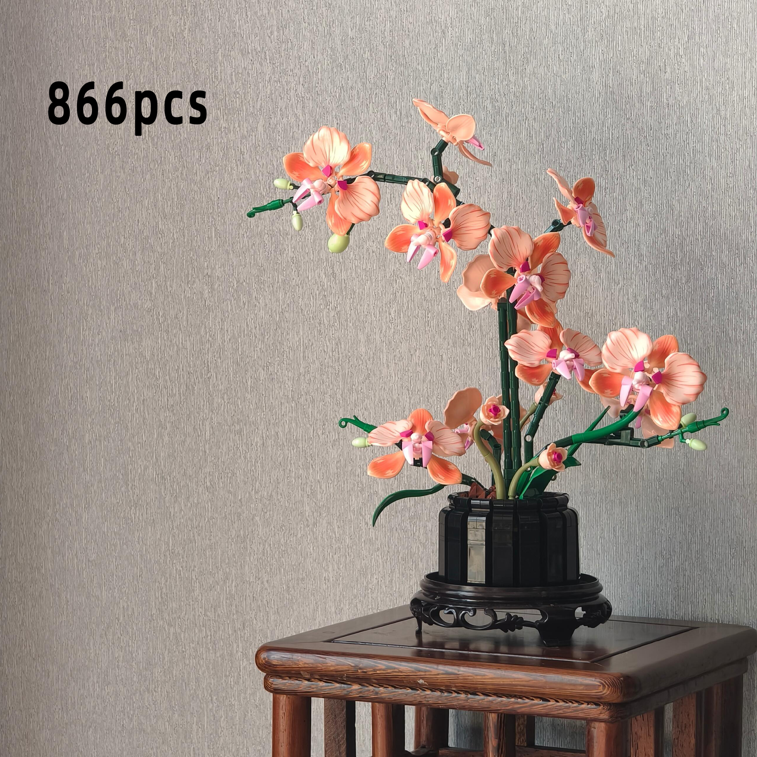 Orange Phalaenopsis Orchid Bui - Orchid Phalaenopsis recensie en prijs