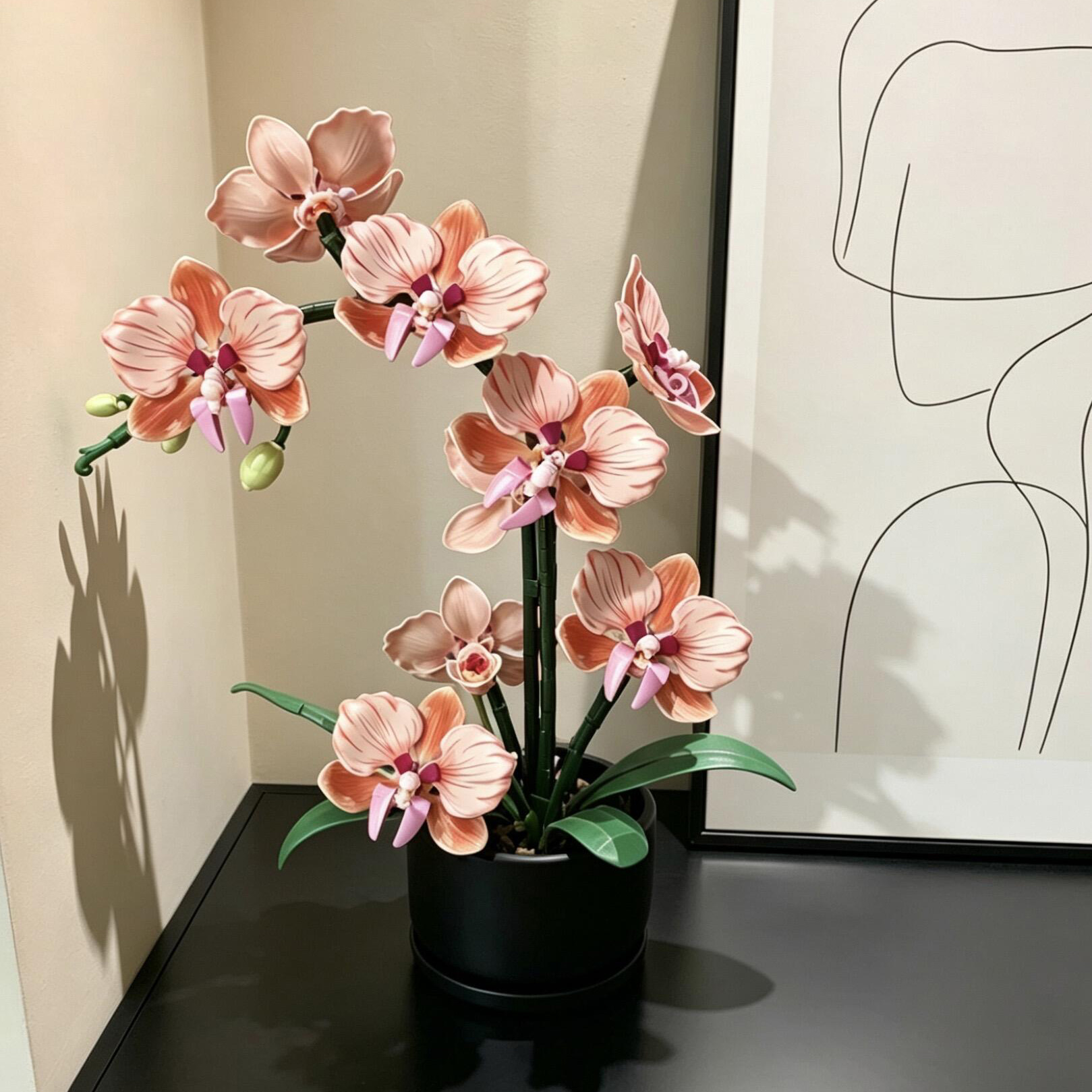 Orange Phalaenopsis Orchid Bui - Orchid Phalaenopsis recensie en prijs