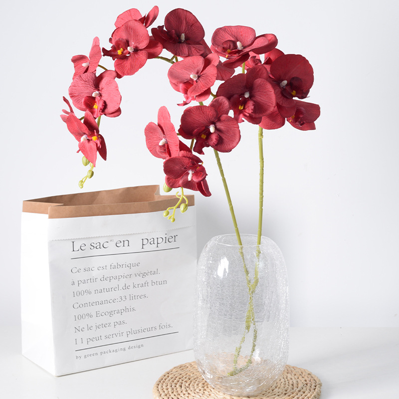 2pc 36cm Phalaenopsis Silk Clo - Orchid Phalaenopsis recensie en prijs