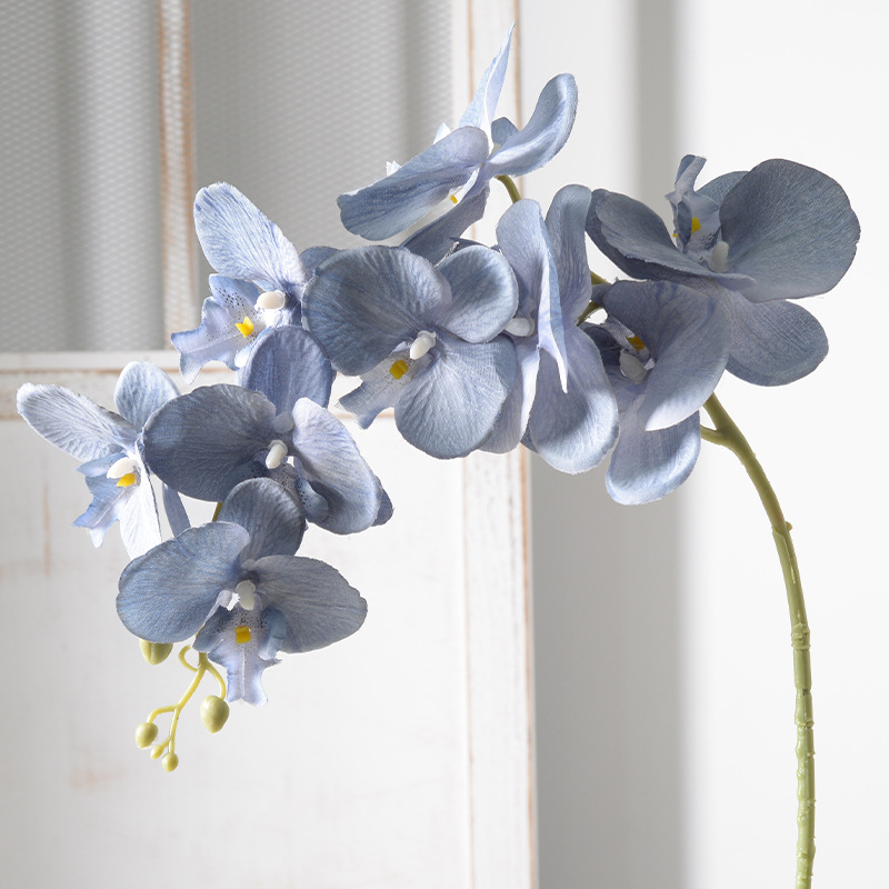2pc 36cm Phalaenopsis Silk Clo - Orchid Phalaenopsis recensie en prijs