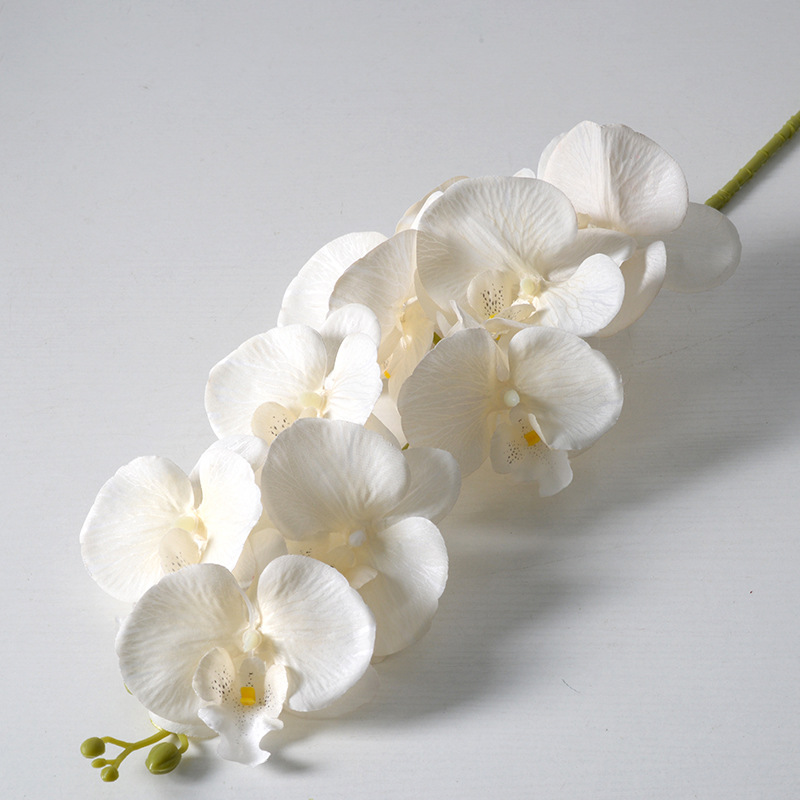 2pc 36cm Phalaenopsis Silk Clo - Orchid Phalaenopsis recensie en prijs