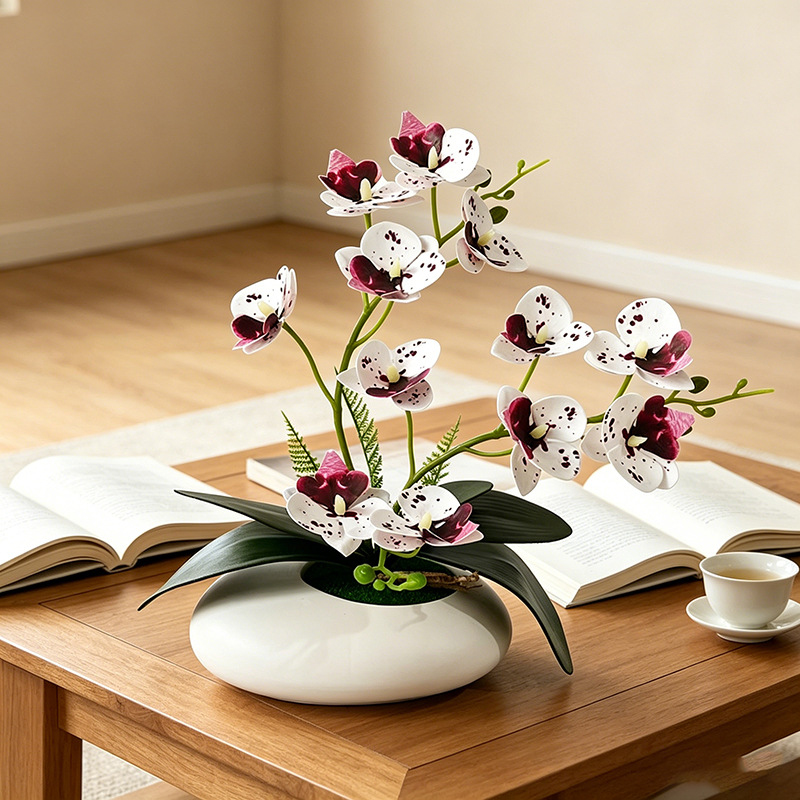 Butterfly Orchid 12 Flower Bon - Orchid Phalaenopsis recensie en prijs