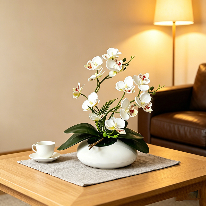 Butterfly Orchid 12 Flower Bon - Orchid Phalaenopsis recensie en prijs