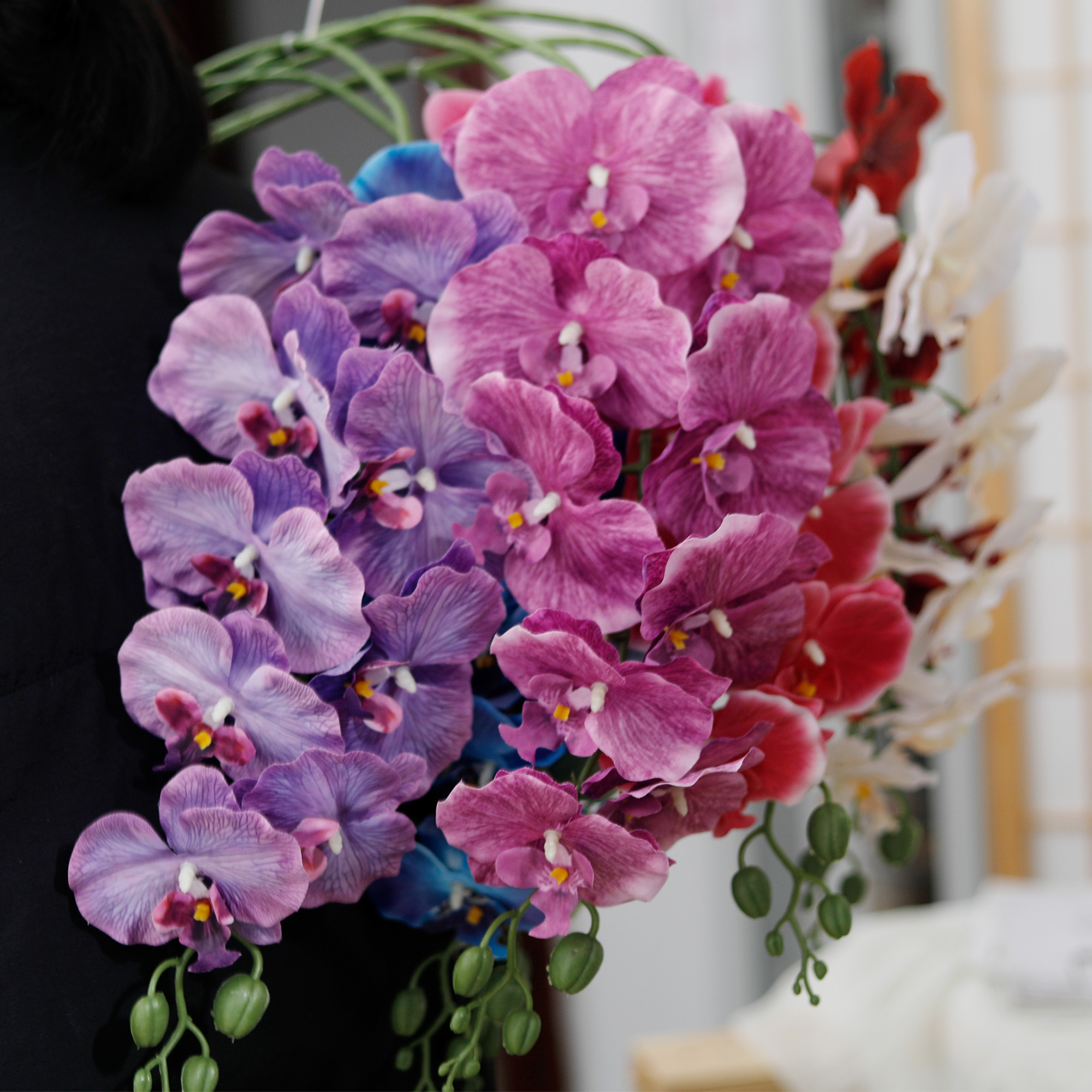 Long Branch Butterfly Orchids  - Orchid Phalaenopsis recensie en prijs