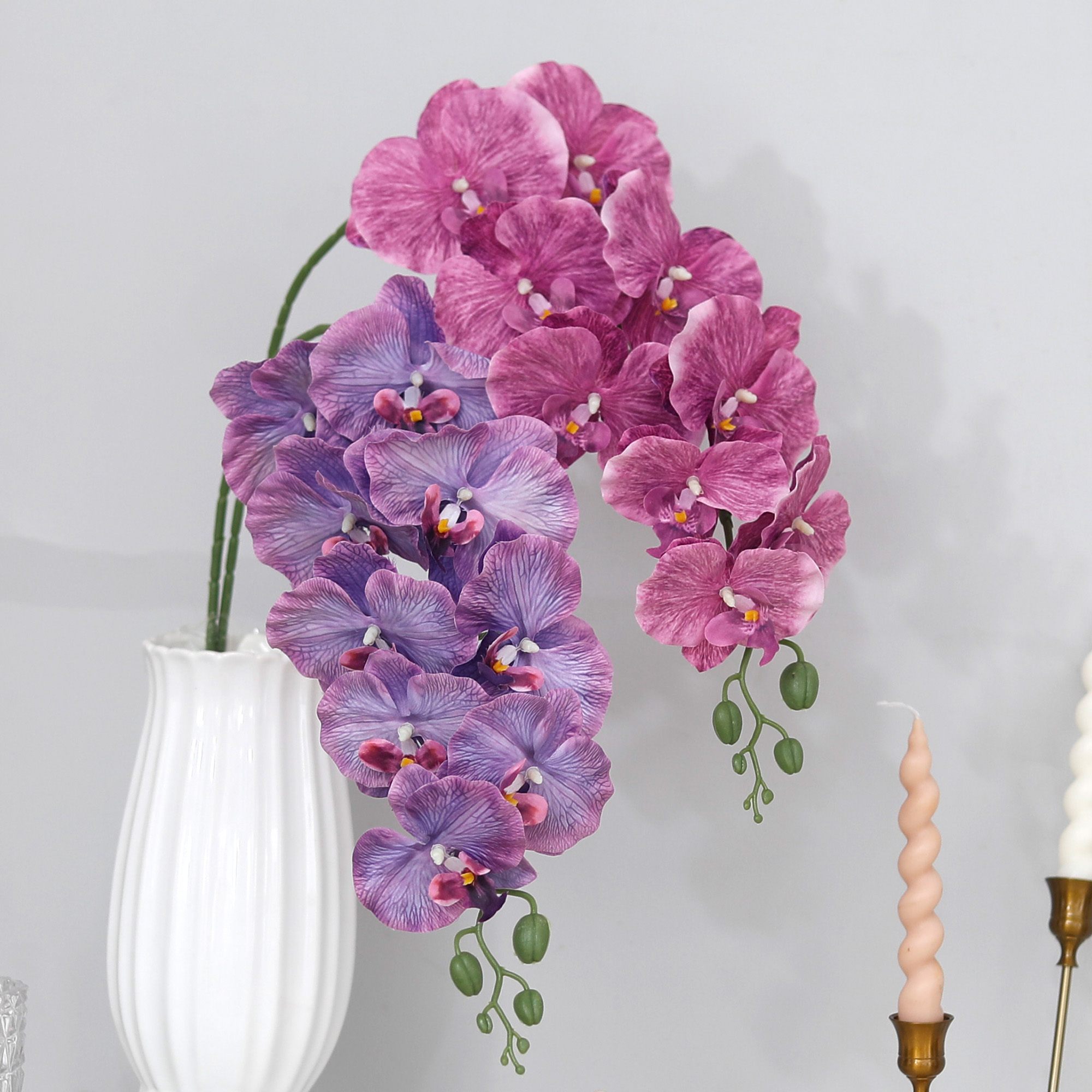 Long Branch Butterfly Orchids  - Orchid Phalaenopsis recensie en prijs