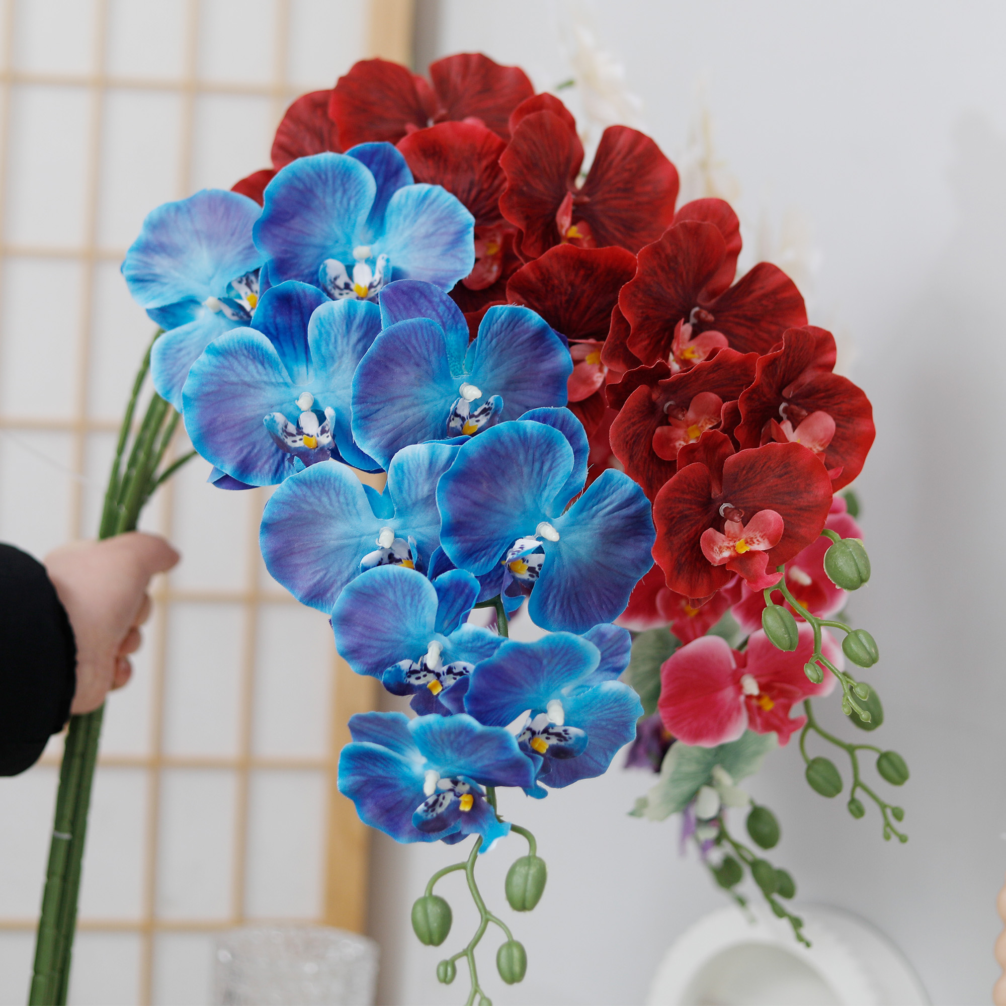 Long Branch Butterfly Orchids  - Orchid Phalaenopsis recensie en prijs