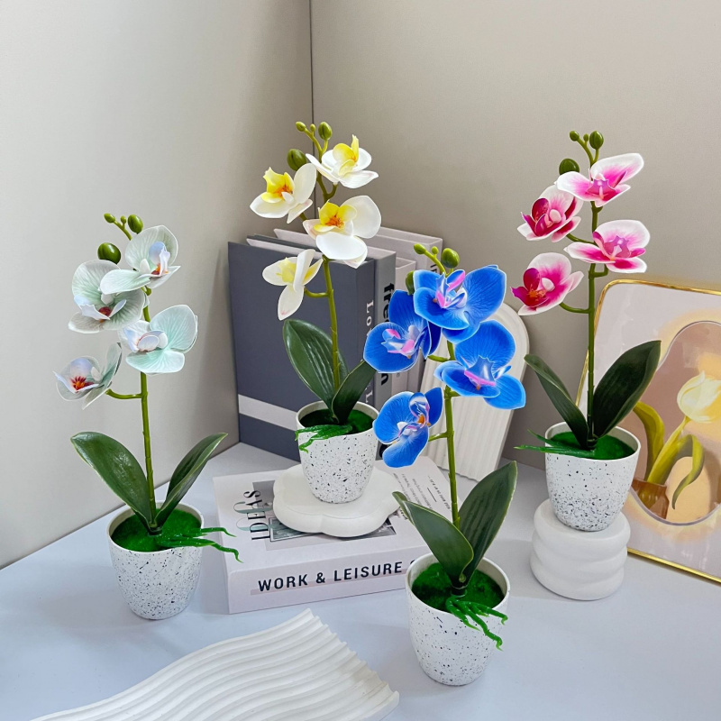 Butterfly Orchid 4-Flower Pott - Orchid Phalaenopsis recensie en prijs