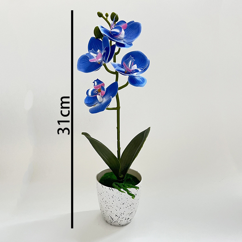 Butterfly Orchid 4-Flower Pott - Orchid Phalaenopsis recensie en prijs