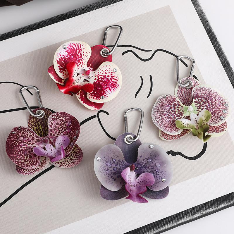 Exquisite Phalaenopsis Orchid  - Orchid Phalaenopsis recensie en prijs
