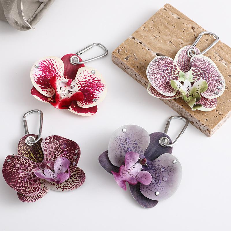 Exquisite Phalaenopsis Orchid  - Orchid Phalaenopsis recensie en prijs