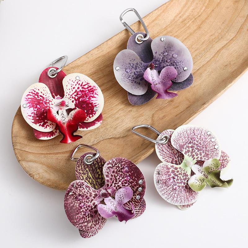 Exquisite Phalaenopsis Orchid  - Orchid Phalaenopsis recensie en prijs