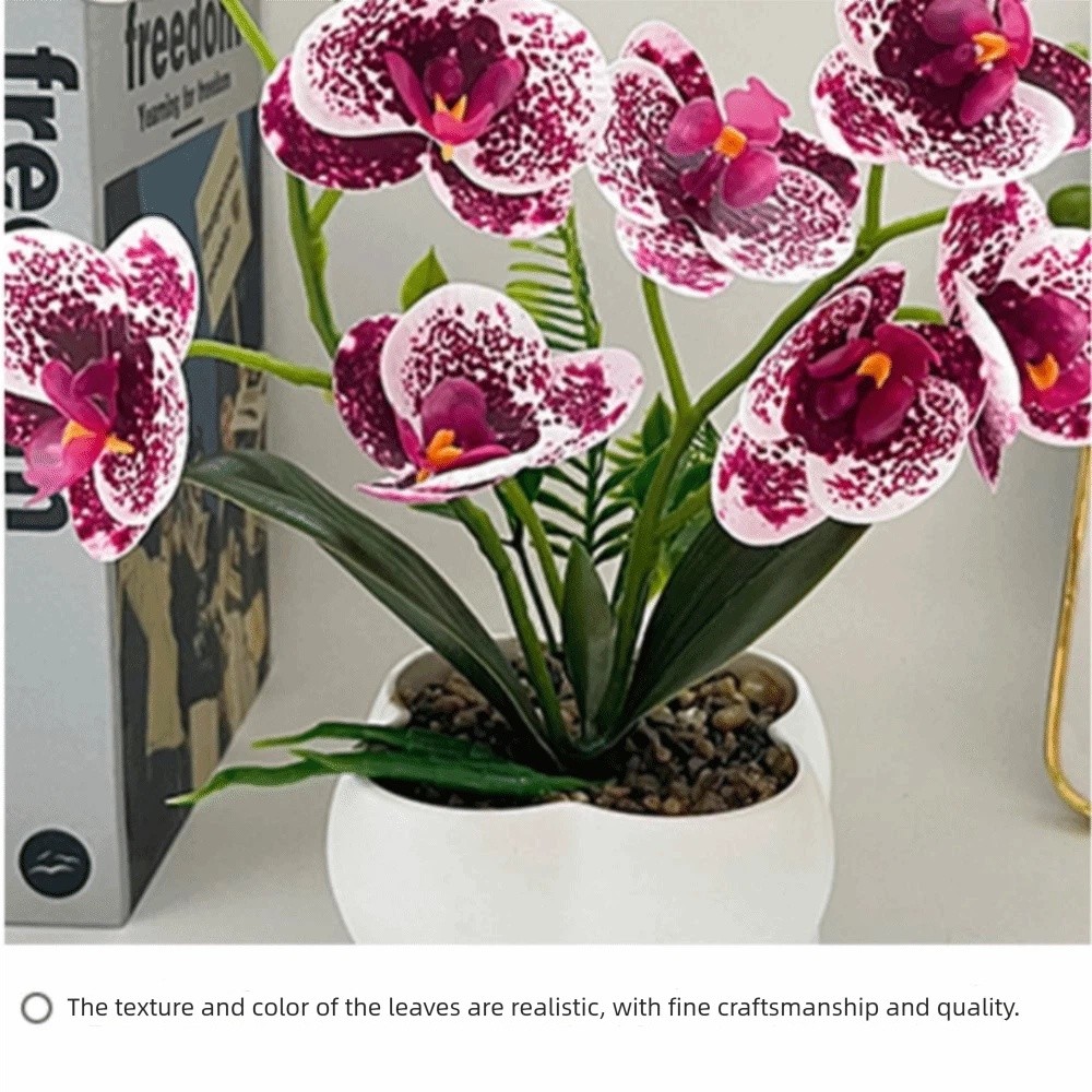 Multi-Bloom Simulated Butterfl - Orchid Phalaenopsis recensie en prijs