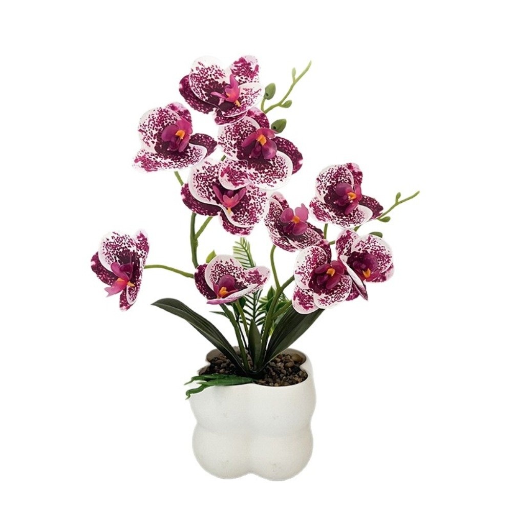 Multi-Bloom Simulated Butterfl - Orchid Phalaenopsis recensie en prijs