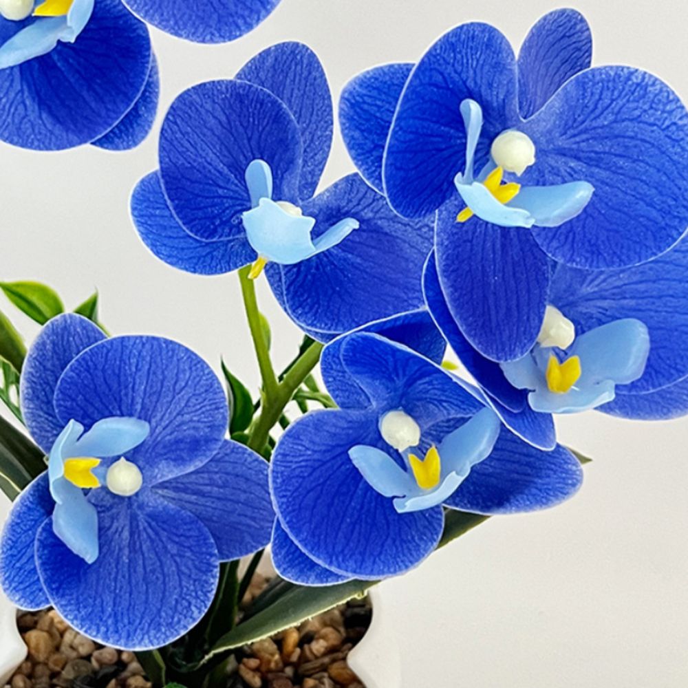 Multi-Bloom Simulated Butterfl - Orchid Phalaenopsis recensie en prijs