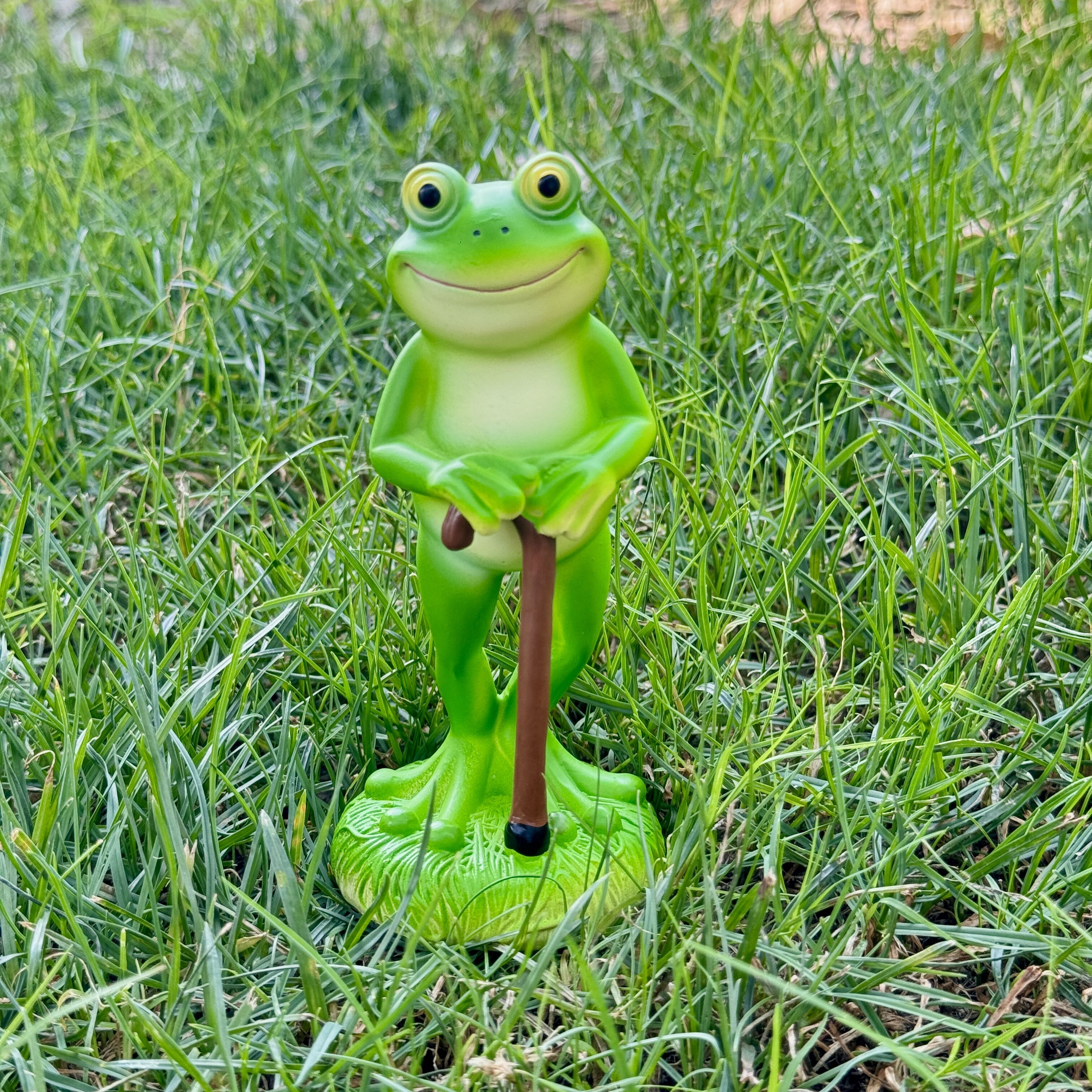1Pc Charming Green Frog Garden - Plant Parent Pot recensie en prijs