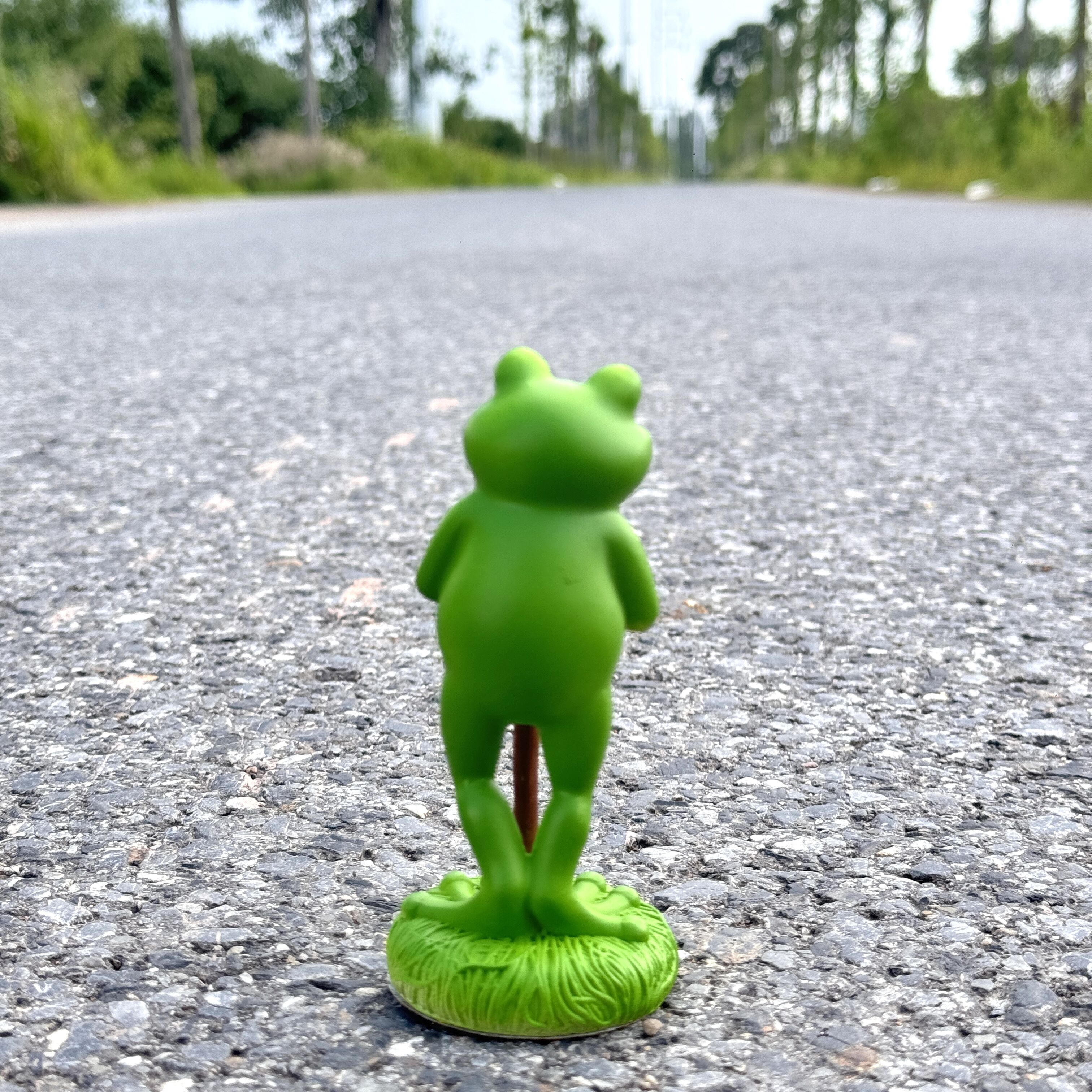 1Pc Charming Green Frog Garden - Plant Parent Pot recensie en prijs