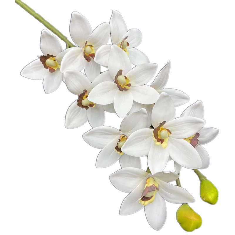 One Real Touch Cymbidium Hooke - Orchid Phalaenopsis recensie en prijs
