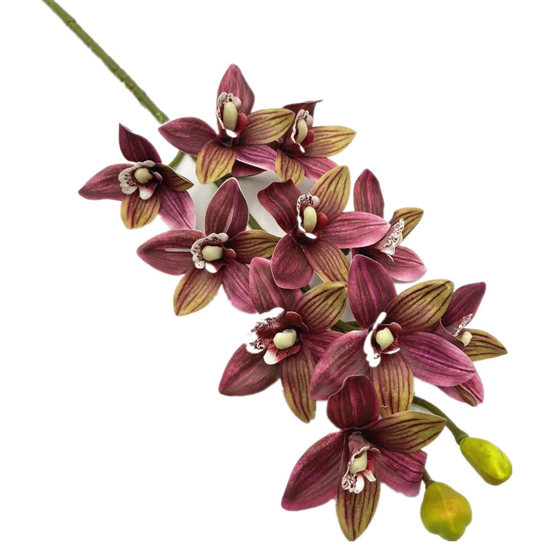 One Real Touch Cymbidium Hooke - Orchid Phalaenopsis recensie en prijs