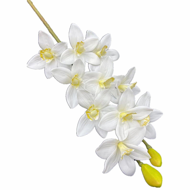 One Real Touch Cymbidium Hooke - Orchid Phalaenopsis recensie en prijs