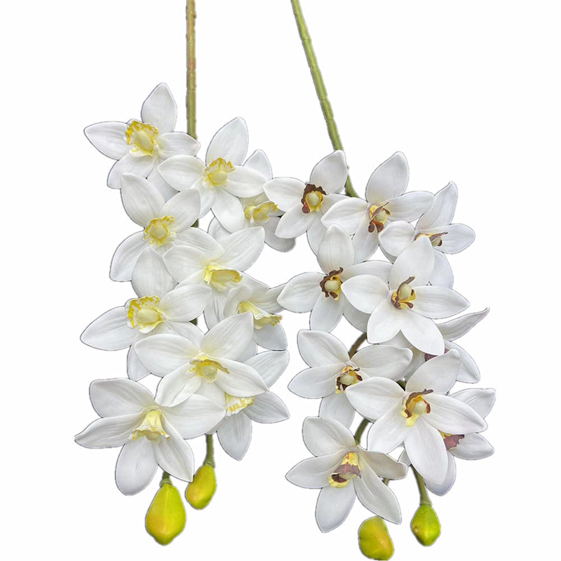 One Real Touch Cymbidium Hooke - Orchid Phalaenopsis recensie en prijs