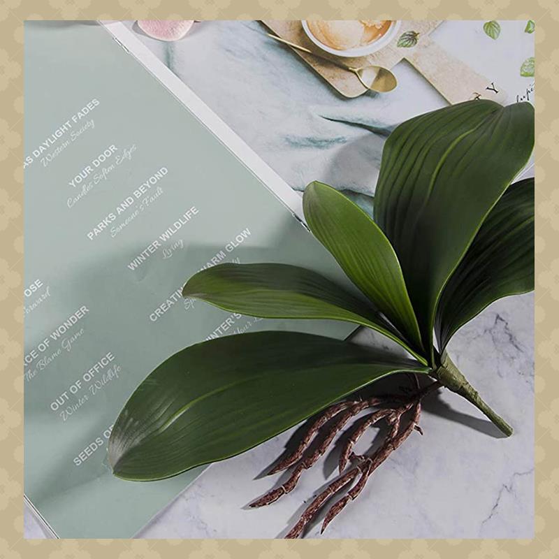 AB45 Phalaenopsis Orchids Leav - Orchid Phalaenopsis recensie en prijs