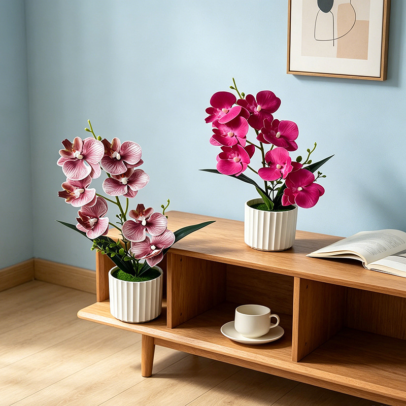 Butterfly Orchid 7-Flower Vert - Orchid Phalaenopsis recensie en prijs