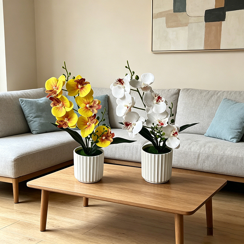 Butterfly Orchid 7-Flower Vert - Orchid Phalaenopsis recensie en prijs