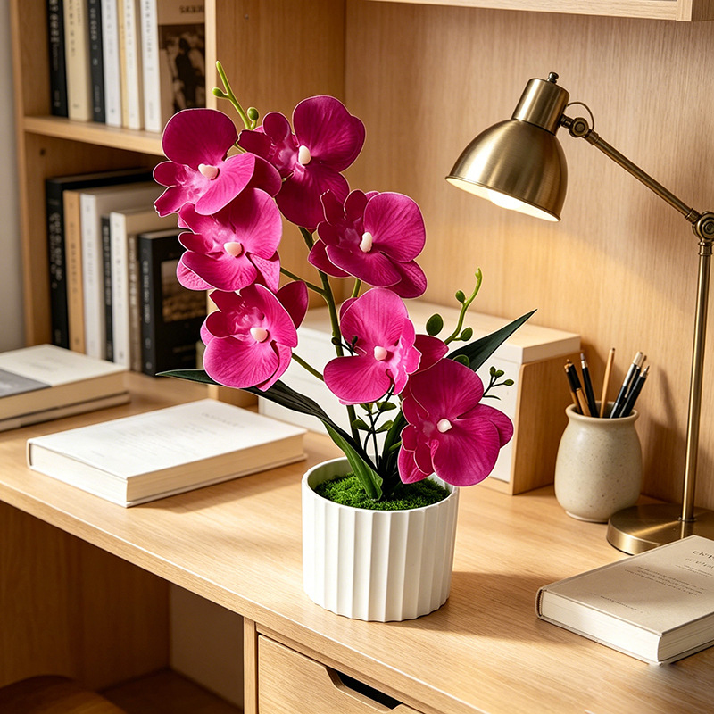 Butterfly Orchid 7-Flower Vert - Orchid Phalaenopsis recensie en prijs