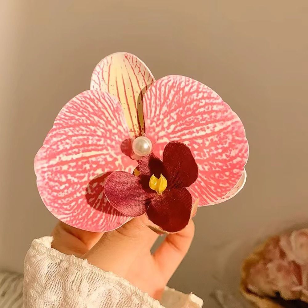 1Pcs Phalaenopsis Pearl Hair C - Orchid Phalaenopsis recensie en prijs