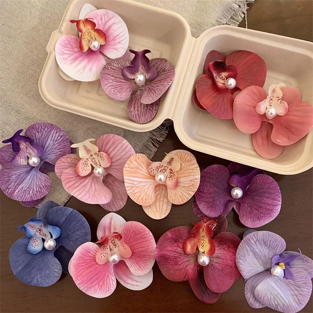 1Pcs Phalaenopsis Pearl Hair C - Orchid Phalaenopsis recensie en prijs