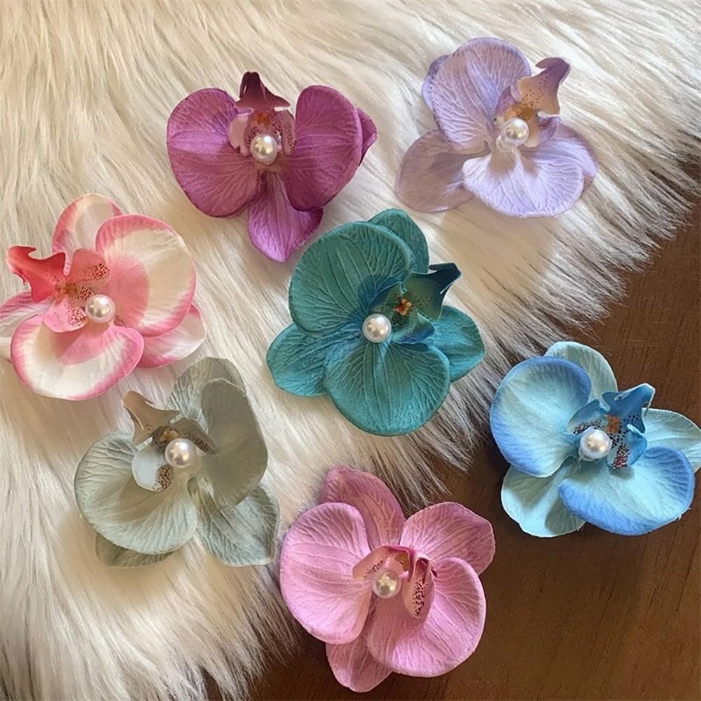 1Pcs Phalaenopsis Pearl Hair C - Orchid Phalaenopsis recensie en prijs