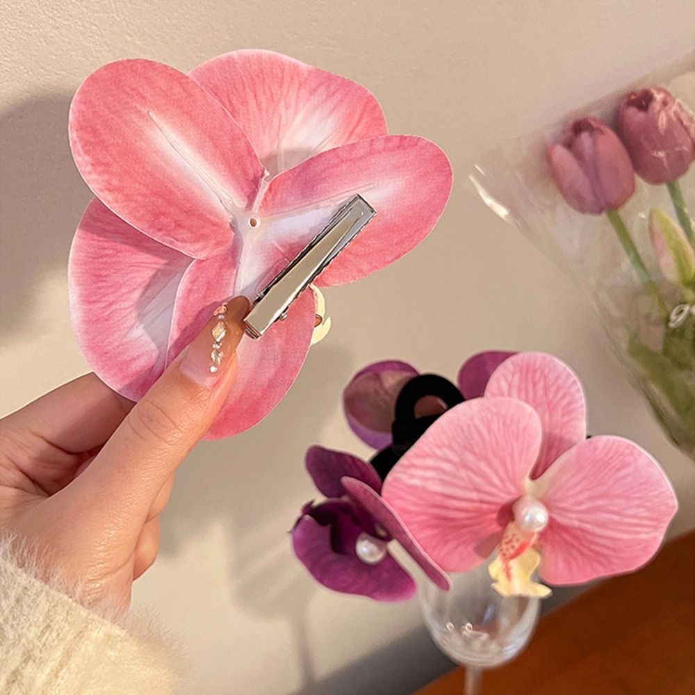 1Pcs Phalaenopsis Pearl Hair C - Orchid Phalaenopsis recensie en prijs