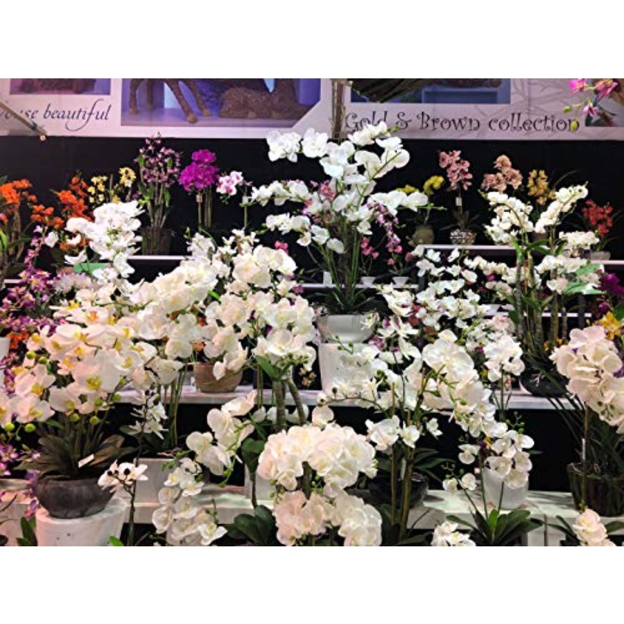 691322320985 Unique and Gorgeo - Orchid Phalaenopsis recensie en prijs