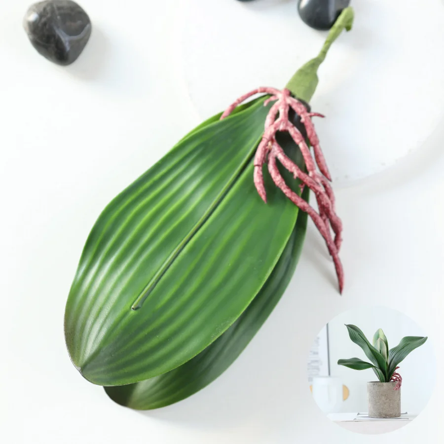 5 pieces of imitation orchid l - Orchid Phalaenopsis recensie en prijs
